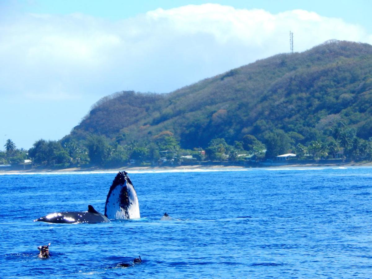 Bounty Lodge Tahiti Arue  Dış mekan fotoğraf