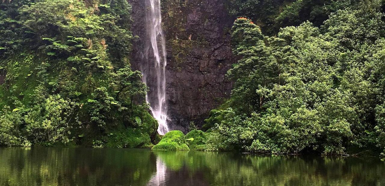 Bounty Lodge Tahiti Arue  Dış mekan fotoğraf